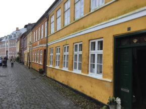 Ribe centrum i fredet hus